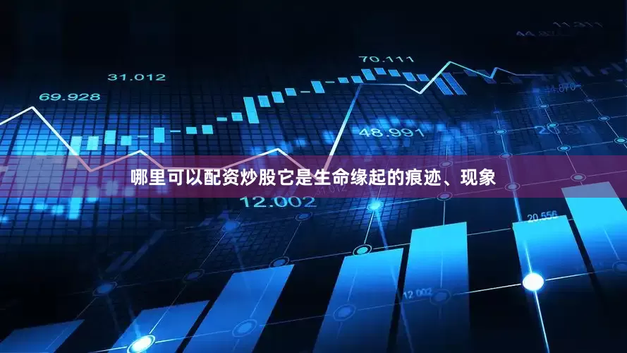 哪里可以配资炒股它是生命缘起的痕迹、现象
