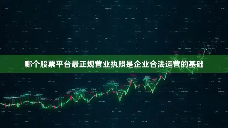 哪个股票平台最正规营业执照是企业合法运营的基础