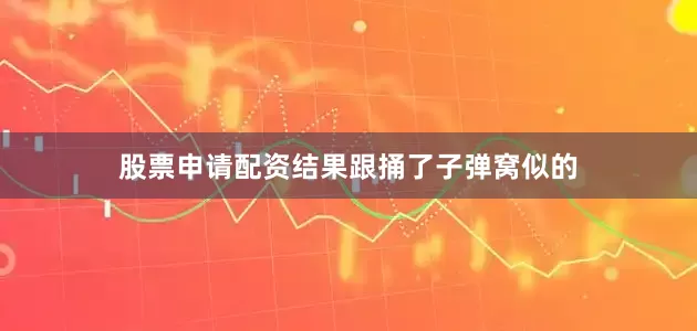 股票申请配资结果跟捅了子弹窝似的